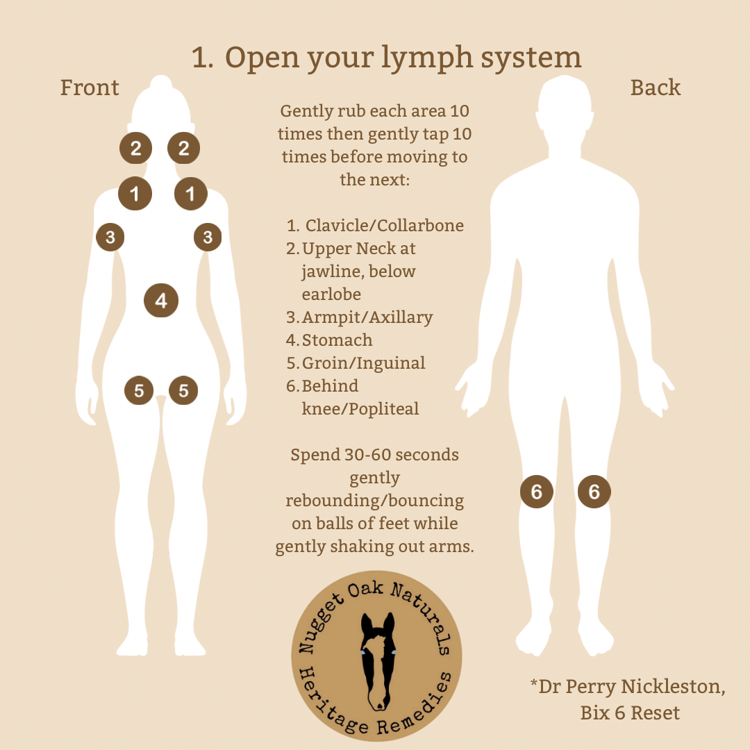 Herbal Tallow Lymphatic Oil