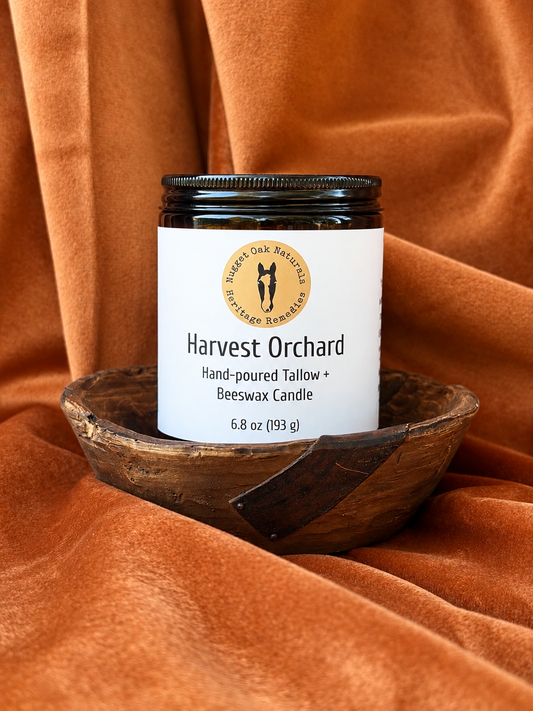 Harvest Orchard Tallow & Beeswax Candle