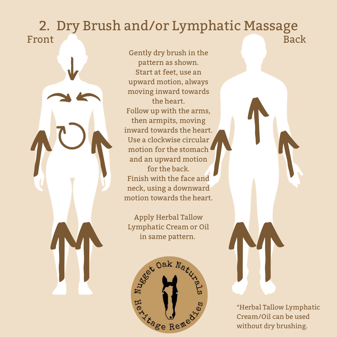 Herbal Tallow Lymphatic Oil