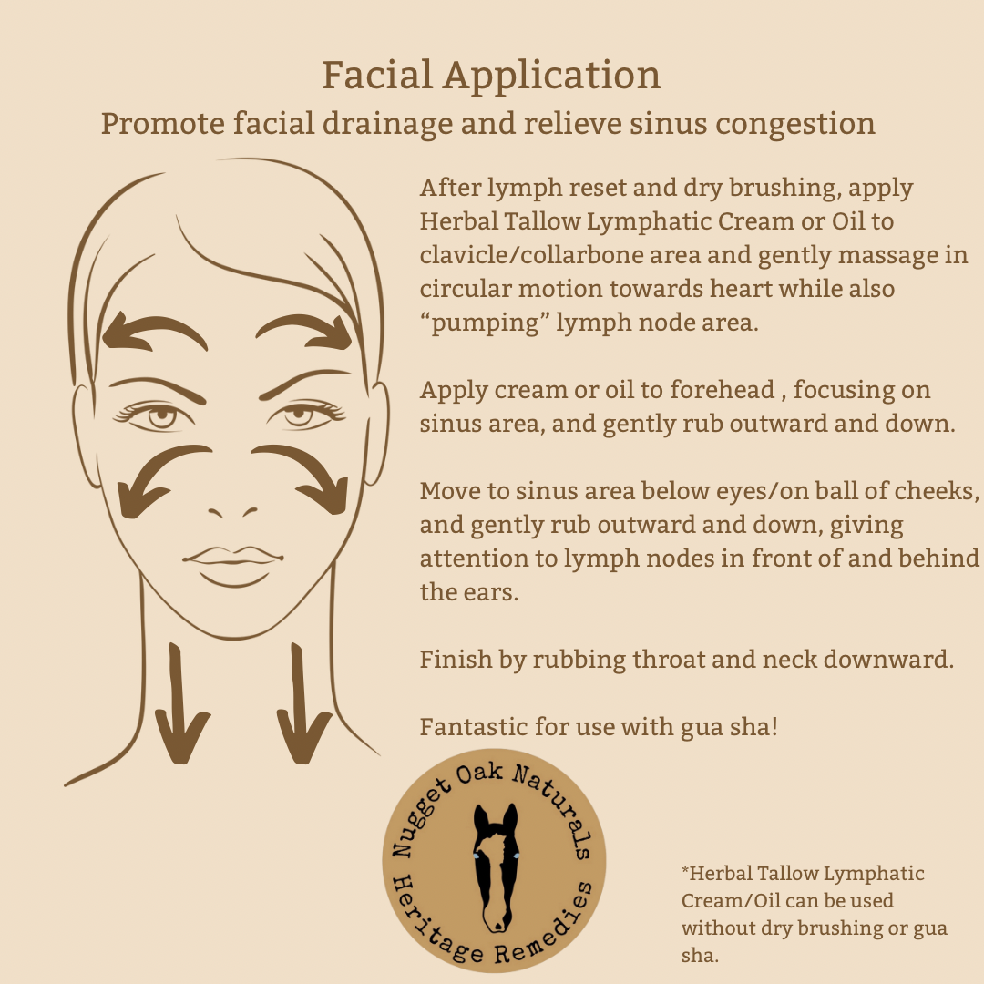 Lymphatic Care Bundle