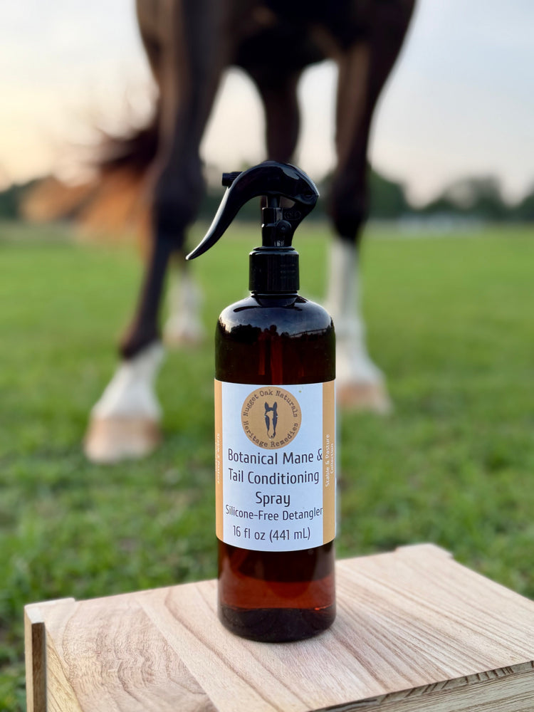 Animal Care - Dog & Horse
